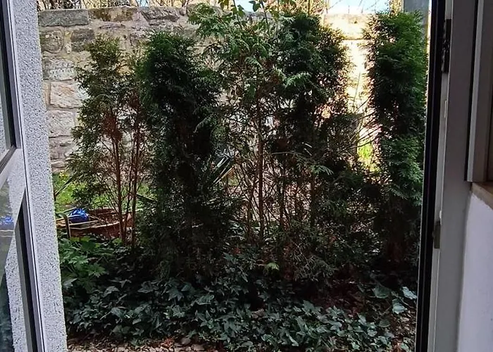 Lägenhet An Der Kaiserpfalz - Koenigshof